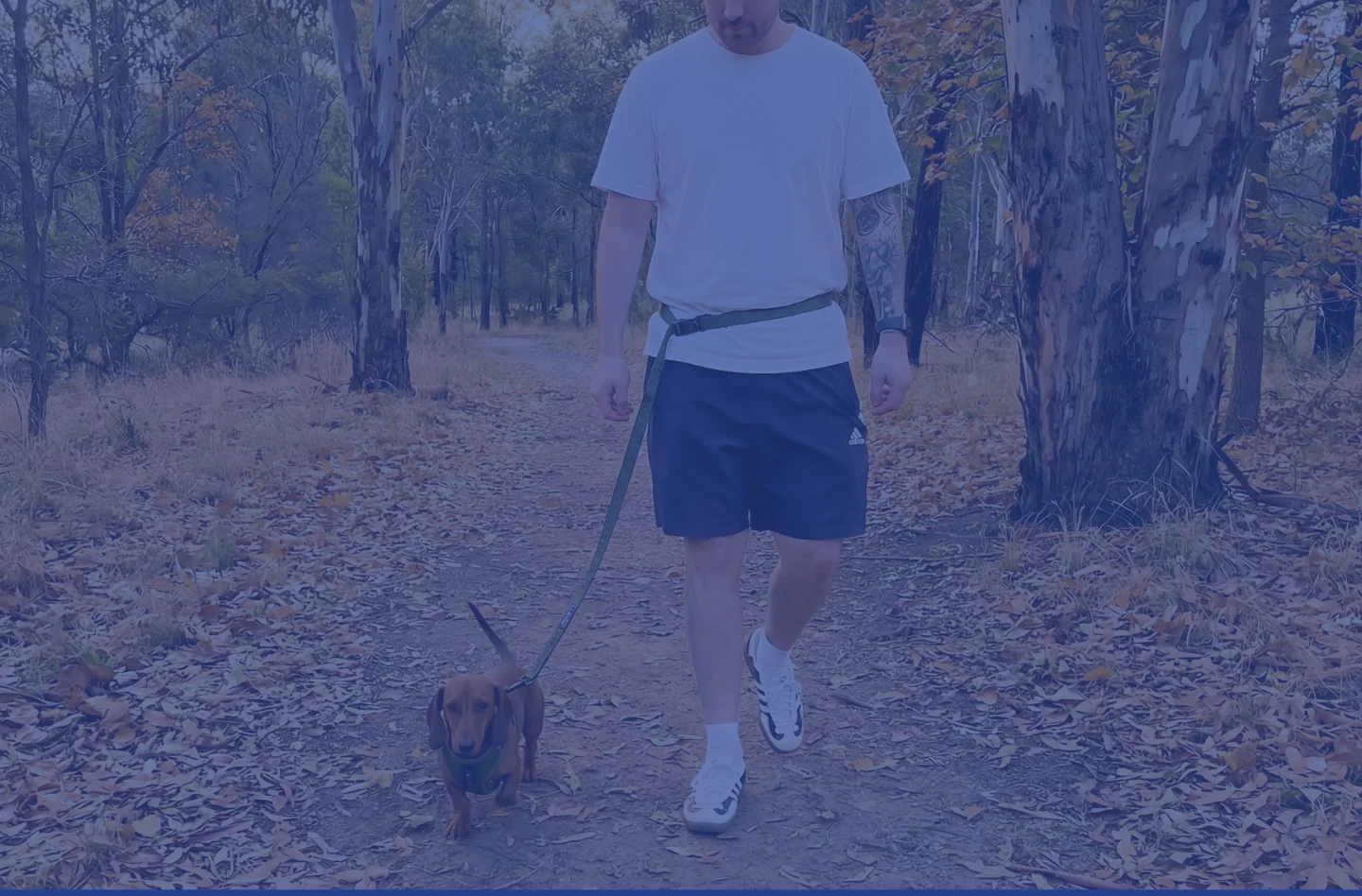 Adventure Ready Gear for Every Dog